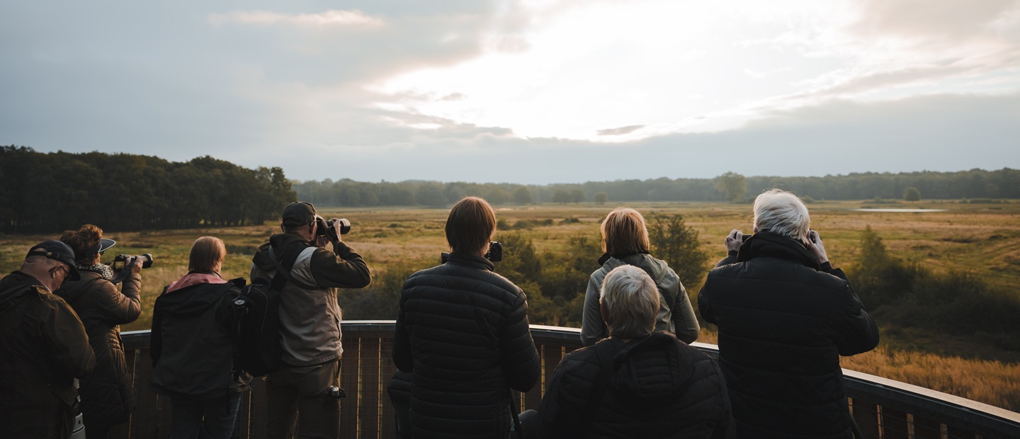 Bezoekers kijken vanaf een uitkijktoren in KempenBroek met verrekijkers naar burlende herten in het uitgestrekte natuurlandschap.